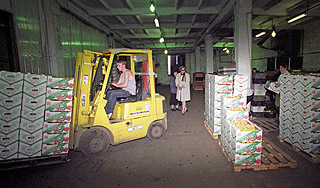 Онищенко остановил опасные овощи у границы Онищенко остановил опасные овощи у границы