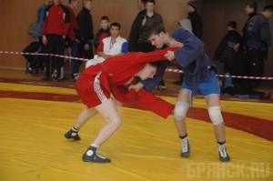 Брянские самбисты стали призерами на спартакиаде учащихся ЦФО