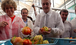 Россия запретила овощи из Европы Россия запретила овощи из Европы