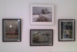 Открылась фотовыставка весенних пейзажей