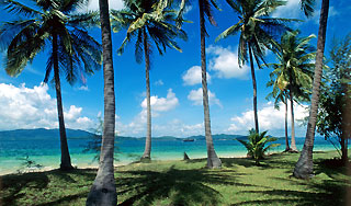 Вода в тайской реке стала сладкой Вода в тайской реке стала сладкой