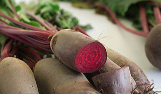 Разносчиком опасной инфекции стала свекла Разносчиком опасной инфекции стала свекла