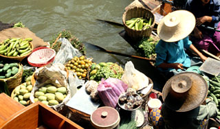 В Таиланде нашли опасные авокадо В Таиланде нашли опасные авокадо