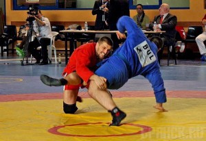 Братья Минаковы завоевали золотые медали на Кубке мира по самбо