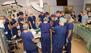 Бактерия E. coli убила двухлетнего ребенка Бактерия E. coli убила двухлетнего ребенка