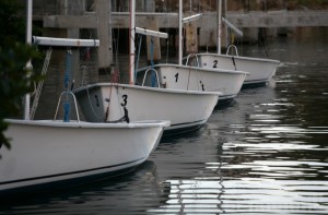 Открылась выставка памяти фотожурналиста Михаила Соловьянова