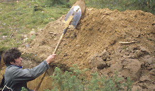 Преступники заставили заложника рыть могилу Преступники заставили заложника рыть могилу