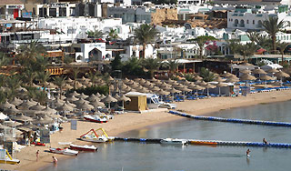 Популярному курорту угрожают крысы и мыши Популярному курорту угрожают крысы и мыши