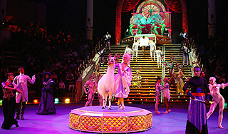 Четырехлетний мальчик выиграл суд у цирка Четырехлетний мальчик выиграл суд у цирка