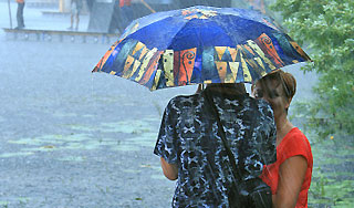 Москвичи ощутят себя жителями субтропиков Москвичи ощутят себя жителями субтропиков