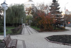 В сквере Проскурина не уследили за молодыми деревьями