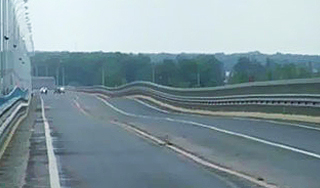 "Танцующий мост" украсили елками без корней "Танцующий мост" украсили елками без корней