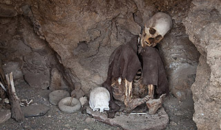 Монархов лечили микстурой из трупов Монархов лечили микстурой из трупов