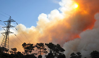 Под Петербургом вспыхнул токсичный полигон Под Петербургом вспыхнул токсичный полигон