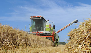 Путин отказался уступать требованиям ВТО Путин отказался уступать требованиям ВТО