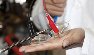 Фильмам добавят настоящий запах Фильмам добавят настоящий запах