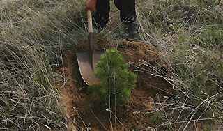 Половина молодых россиян работает даром Половина молодых россиян работает даром