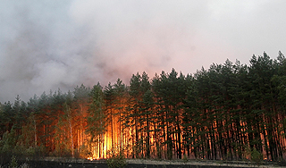 В Сибири вспыхнула тайга В Сибири вспыхнула тайга