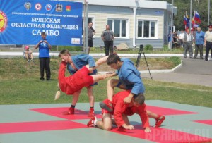 Брянские самбисты показали мастерство на казачьем празднике в Стародубе