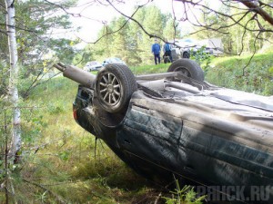 Водитель погиб при падении иномарки в кювет