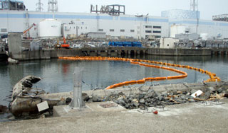 У "Фукусимы-1" нашли новый опасный элемент У "Фукусимы-1" нашли новый опасный элемент