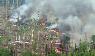 Десантники спасли поселок от огня Десантники спасли поселок от огня