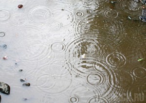 Штормовое предупреждение продлено