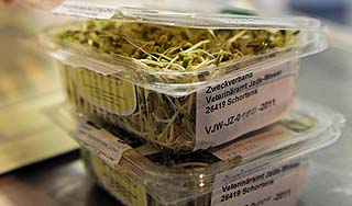 Европейцы нашли источник опасной инфекции Европейцы нашли источник опасной инфекции