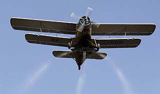 "Кукурузник" раздавил человека на аэродроме "Кукурузник" раздавил человека на аэродроме