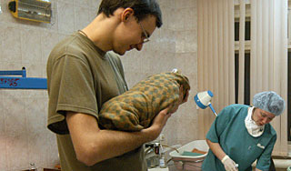 Роды для мужчин будут бесплатными Роды для мужчин будут бесплатными