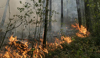 Дым от пожаров подобрался к Москве Дым от пожаров подобрался к Москве