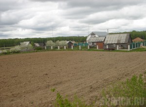 Многодетным семьям пообещали земельные участки