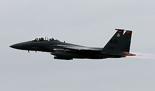 К Обаме прилетели нежданные гости К Обаме прилетели нежданные гости