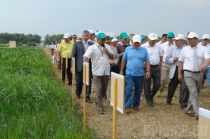 Картофелеводы России, Беларуси и Украины встретились на брянской земле