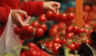 В Россию пустили овощи из Чехии и Греции В Россию пустили овощи из Чехии и Греции