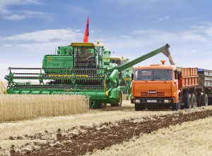 Проливные дожди нанесли ущерб сельскому хозяйству