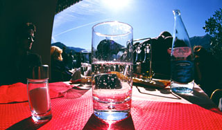 Онищенко просит заменить газировку соком Онищенко просит заменить газировку соком