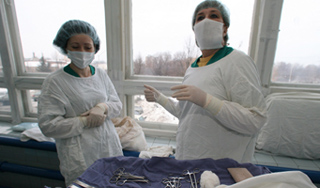 Житель Грузии скончался от сибирской язвы Житель Грузии скончался от сибирской язвы