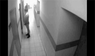 Писающий полицейский оказался настоящим Писающий полицейский оказался настоящим