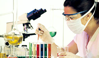 В Европе умерла E. coli В Европе умерла E. coli