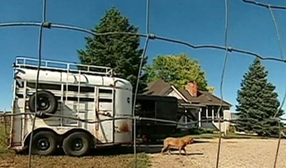 Американцы выставили на торги целый город Американцы выставили на торги целый город