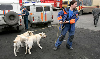 Двухлетняя девочка погибла в лесу Двухлетняя девочка погибла в лесу