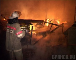 При пожаре в сарае сгорела вся живность