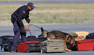 Аэропорт Ниццы эвакуирован из-за багажа Аэропорт Ниццы эвакуирован из-за багажа
