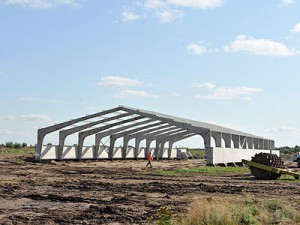 Под Выгоничами приступили к строительству крупных свинокомплексов
