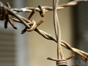 Двух сбежавших из колонии зэков искали три часа