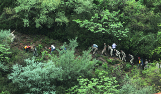 Под Свердловском пропал трехлетний ребенок Под Свердловском пропал трехлетний ребенок