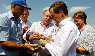 Медведев поставил задачи аграриям Медведев поставил задачи аграриям