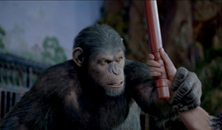 Восставшие обезьяны захватили прокат Восставшие обезьяны захватили прокат