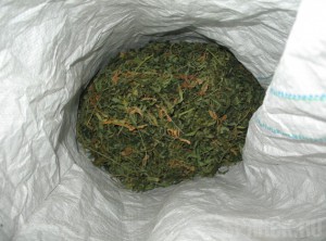 За два месяца стражи порядка изъяли около 50 килограммов наркотиков